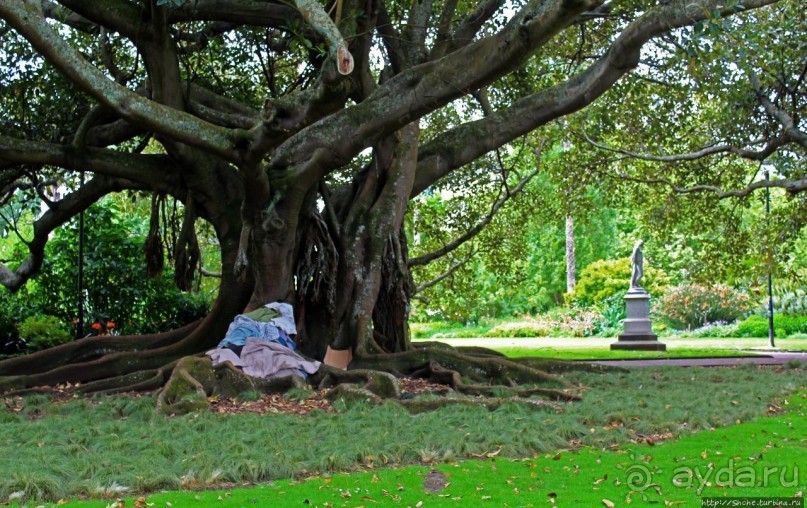 Альберт Парк — на мой вкус, самое интересное место в Окленде