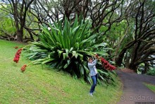 Альберт Парк — на мой вкус, самое интересное место в Окленде