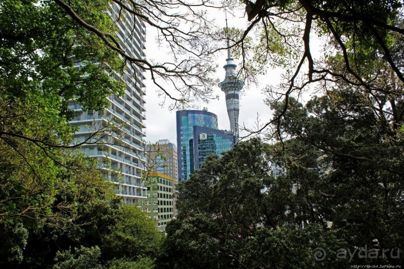 Альберт Парк — на мой вкус, самое интересное место в Окленде