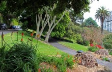 Альберт Парк — на мой вкус, самое интересное место в Окленде