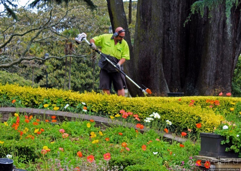 Альберт Парк — на мой вкус, самое интересное место в Окленде