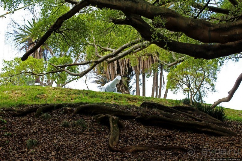 Альберт Парк — на мой вкус, самое интересное место в Окленде