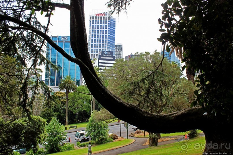 Альберт Парк — на мой вкус, самое интересное место в Окленде