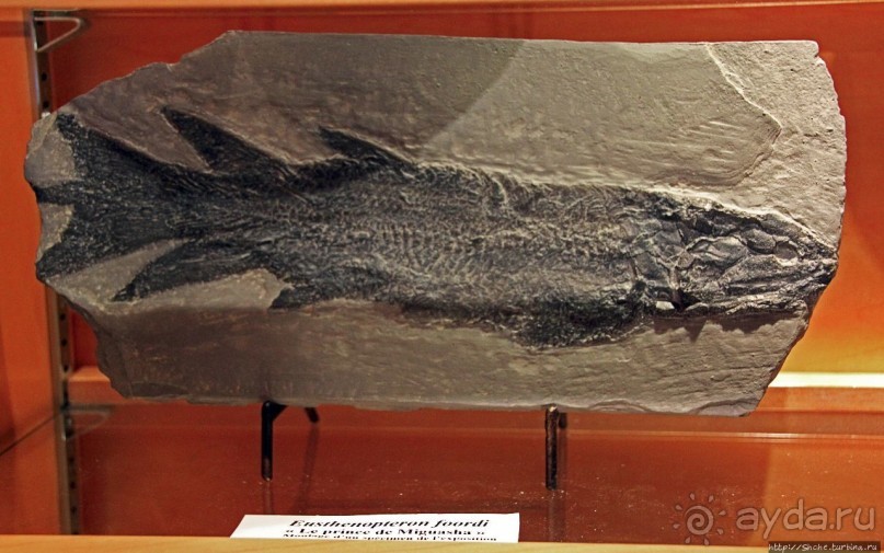 Парк Мигуаша — еще один "кистеперый" объект ЮНЕСКО (№686)