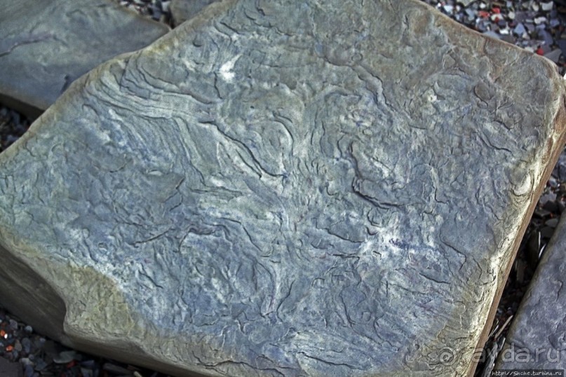 Парк Мигуаша — еще один "кистеперый" объект ЮНЕСКО (№686)