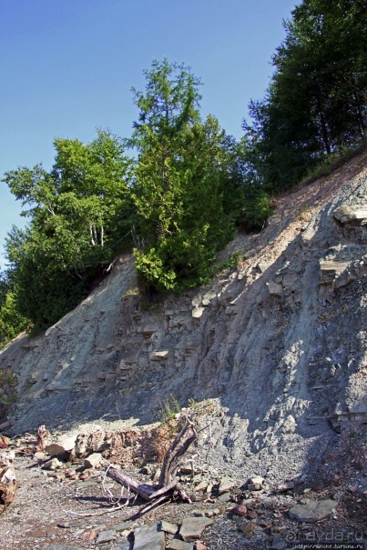 Парк Мигуаша — еще один "кистеперый" объект ЮНЕСКО (№686)