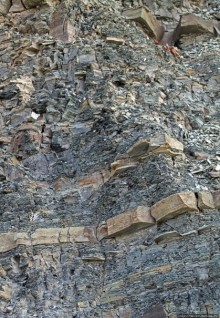 Парк Мигуаша — еще один "кистеперый" объект ЮНЕСКО (№686)