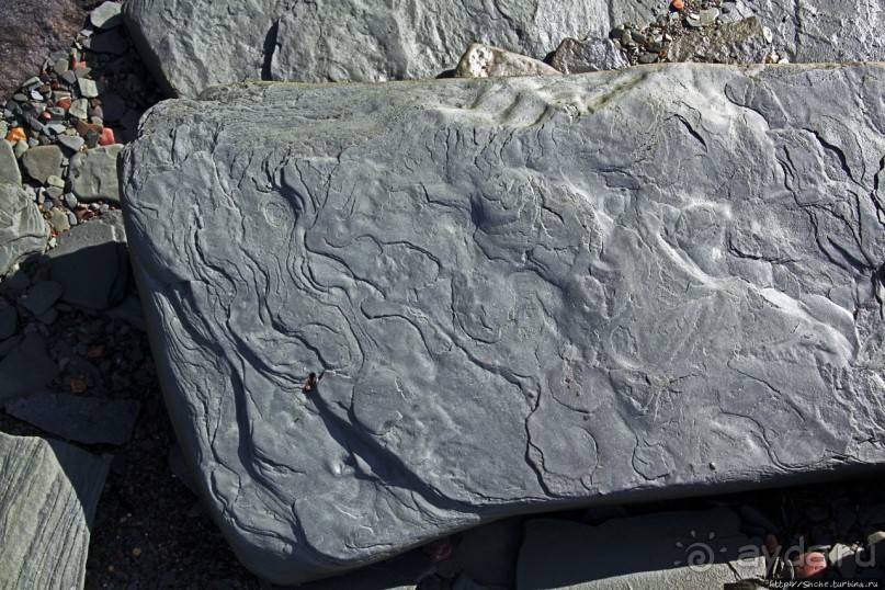 Парк Мигуаша — еще один "кистеперый" объект ЮНЕСКО (№686)