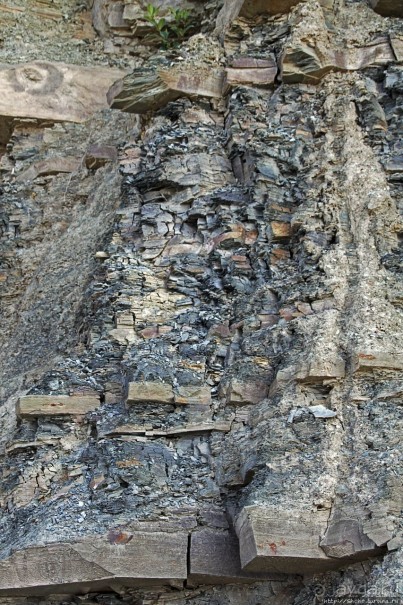 Парк Мигуаша — еще один "кистеперый" объект ЮНЕСКО (№686)