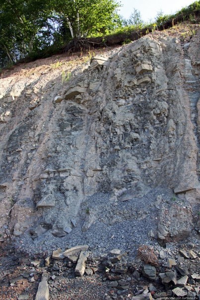 Парк Мигуаша — еще один "кистеперый" объект ЮНЕСКО (№686)