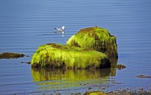 Парк Мигуаша — еще один "кистеперый" объект ЮНЕСКО (№686)