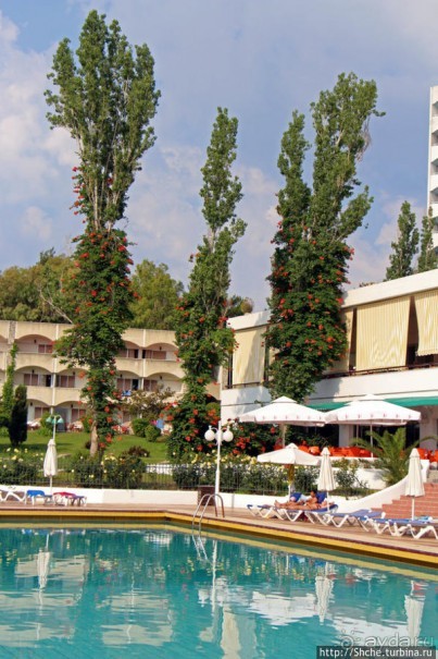 Хорошая "четверочка" для семейного отдыха