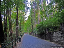 Дорога к замку Пелеш, летней резиденции румынского короля