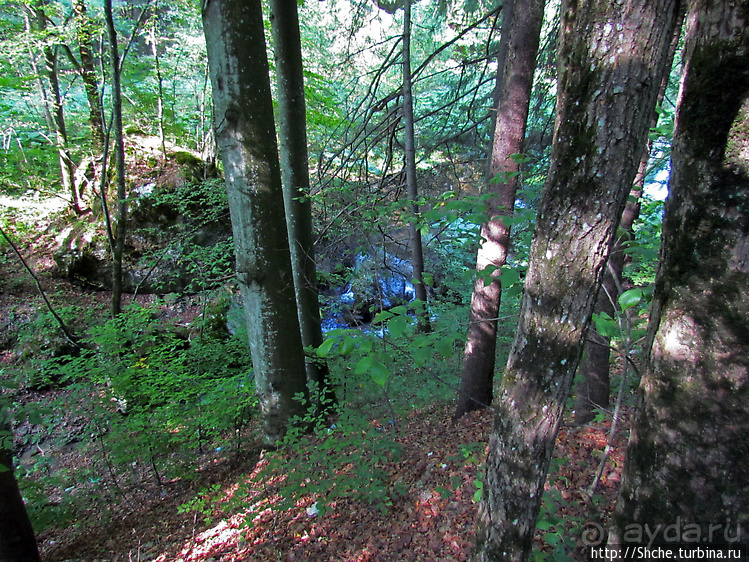 Дорога к замку Пелеш, летней резиденции румынского короля