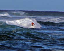 Серфинг, это вам не просто так... этим заниматься нужно
