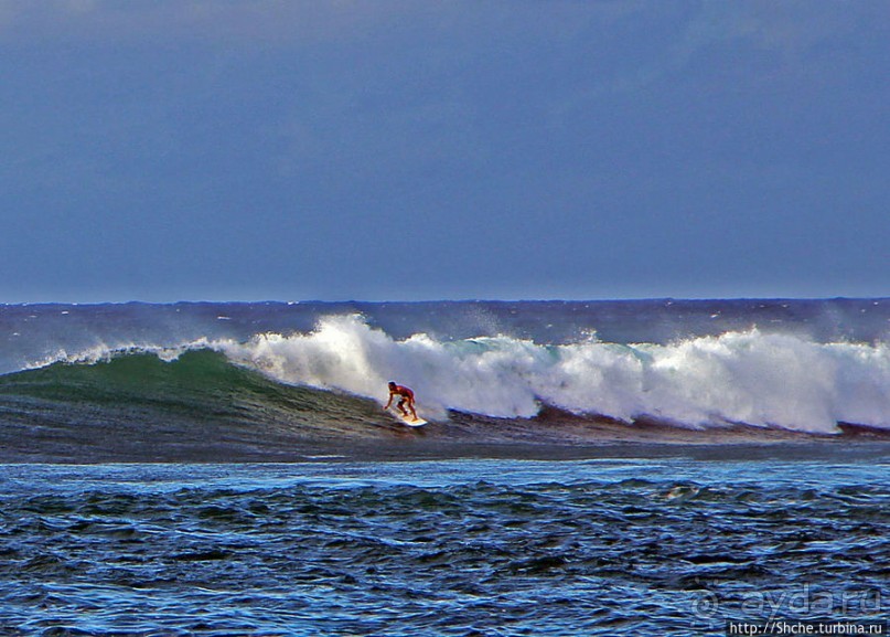 Серфинг, это вам не просто так... этим заниматься нужно