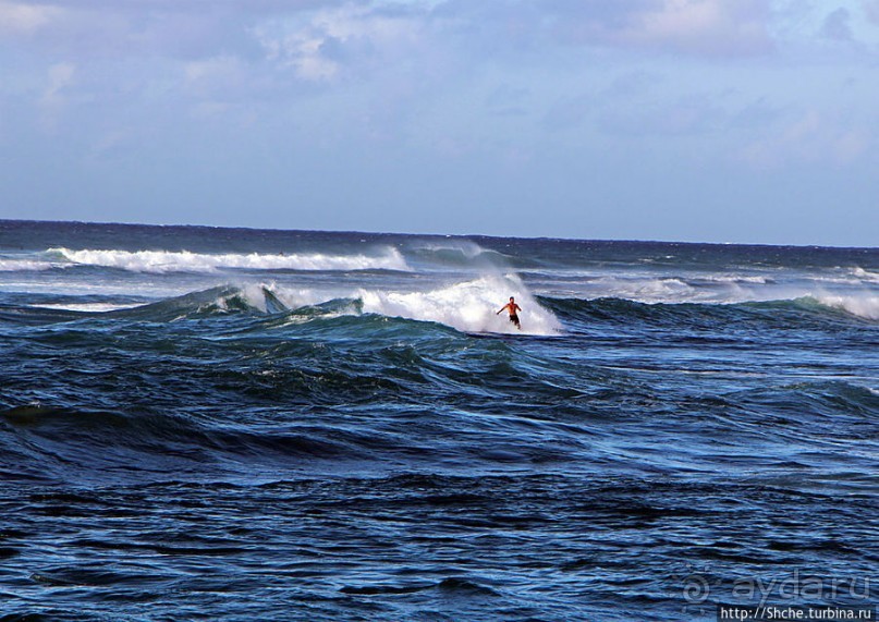 Серфинг, это вам не просто так... этим заниматься нужно