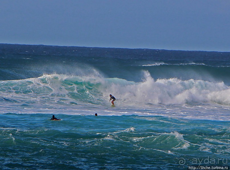 Серфинг, это вам не просто так... этим заниматься нужно