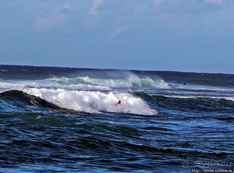 Серфинг, это вам не просто так... этим заниматься нужно