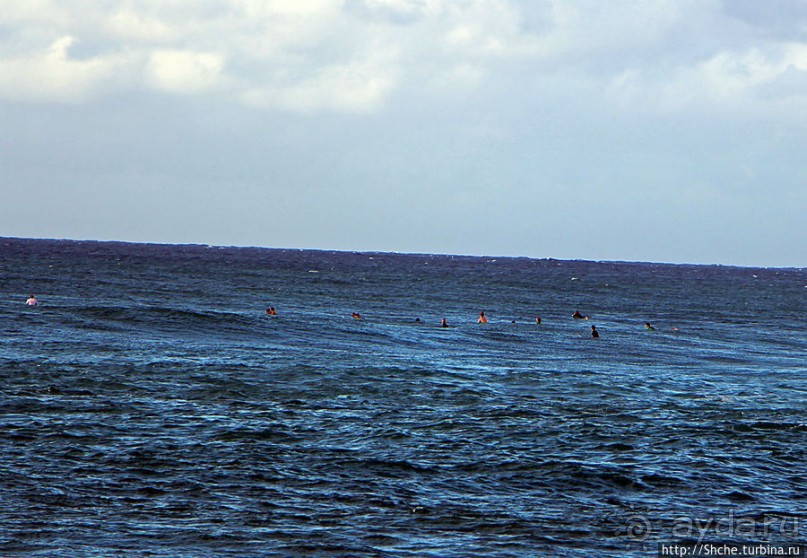 Серфинг, это вам не просто так... этим заниматься нужно