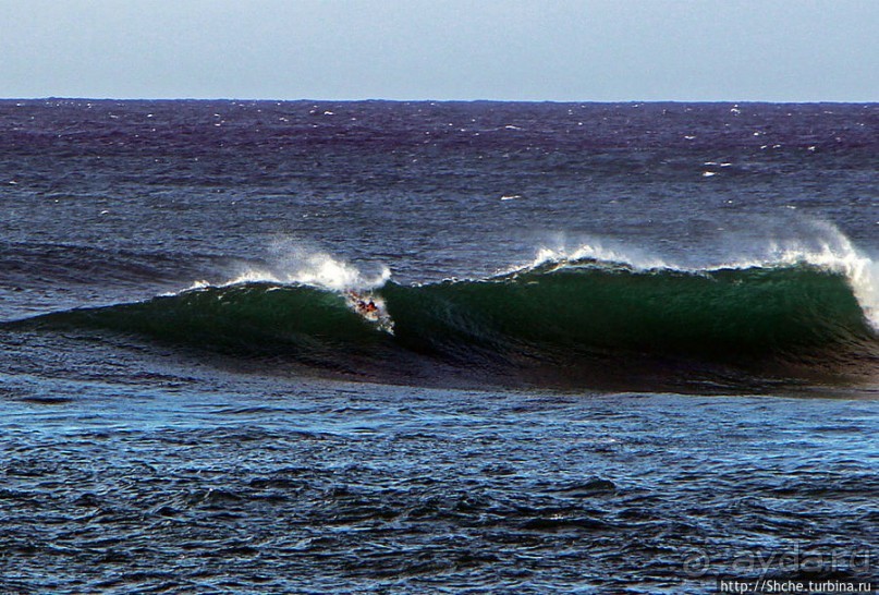 Серфинг, это вам не просто так... этим заниматься нужно