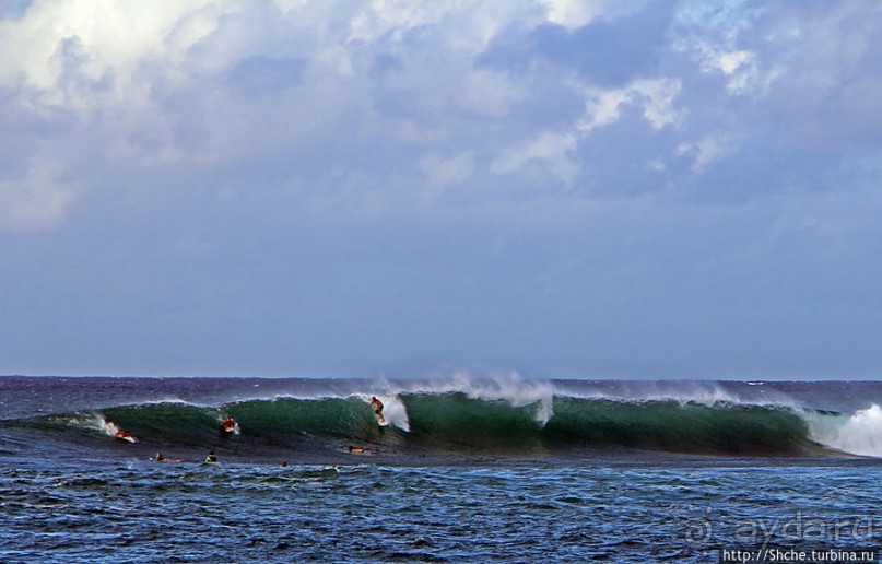 Серфинг, это вам не просто так... этим заниматься нужно