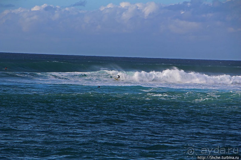 Серфинг, это вам не просто так... этим заниматься нужно