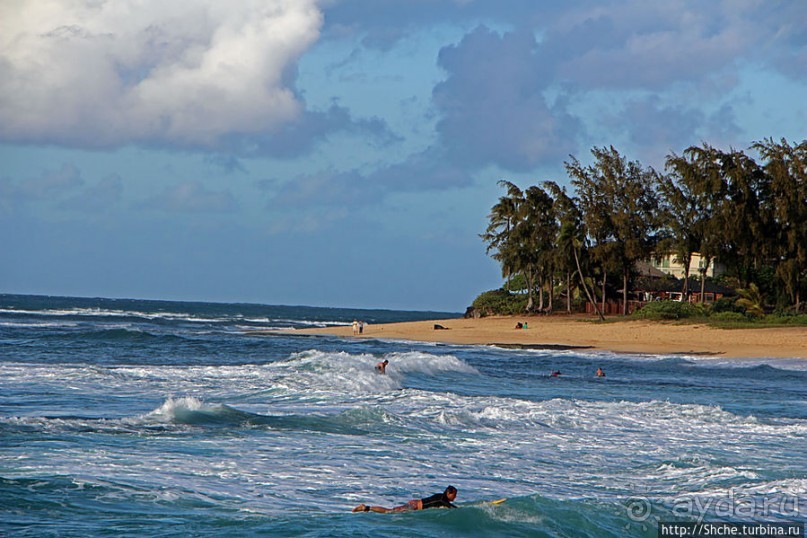 Серфинг, это вам не просто так... этим заниматься нужно