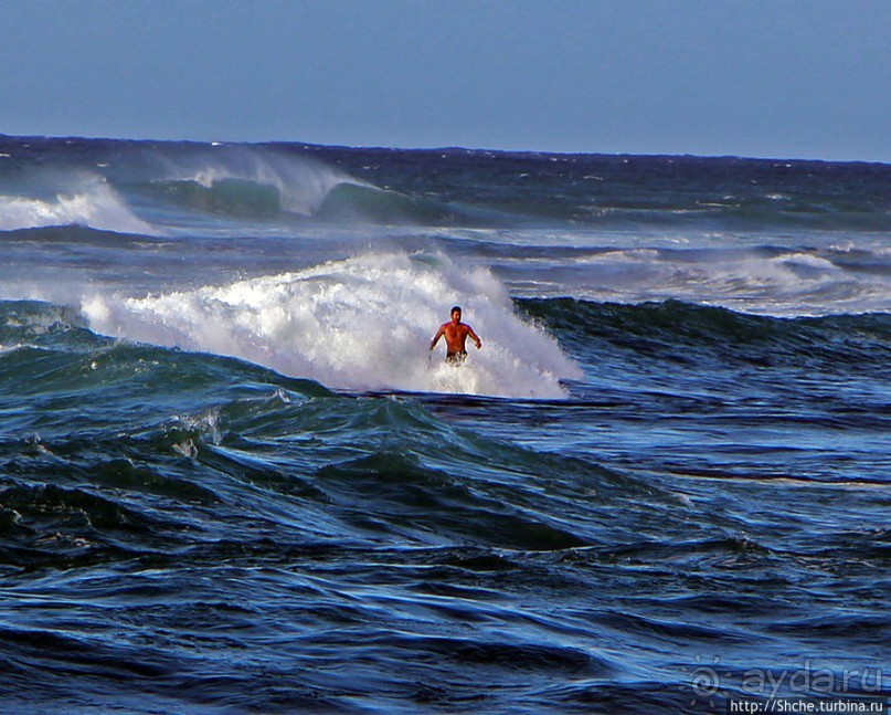 Серфинг, это вам не просто так... этим заниматься нужно