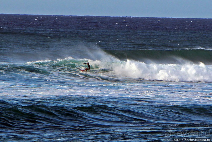 Серфинг, это вам не просто так... этим заниматься нужно