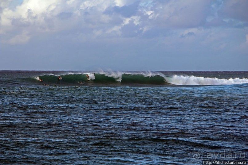 Серфинг, это вам не просто так... этим заниматься нужно