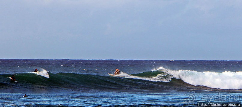 Серфинг, это вам не просто так... этим заниматься нужно