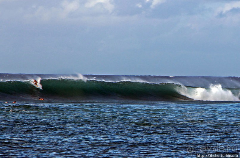 Серфинг, это вам не просто так... этим заниматься нужно