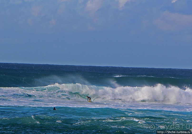 Серфинг, это вам не просто так... этим заниматься нужно