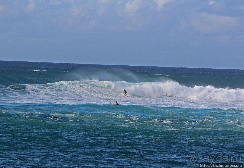 Серфинг, это вам не просто так... этим заниматься нужно