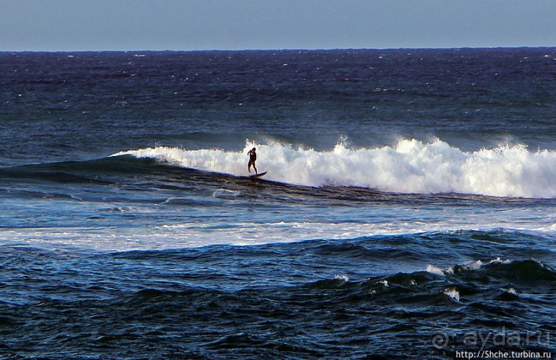 Серфинг, это вам не просто так... этим заниматься нужно