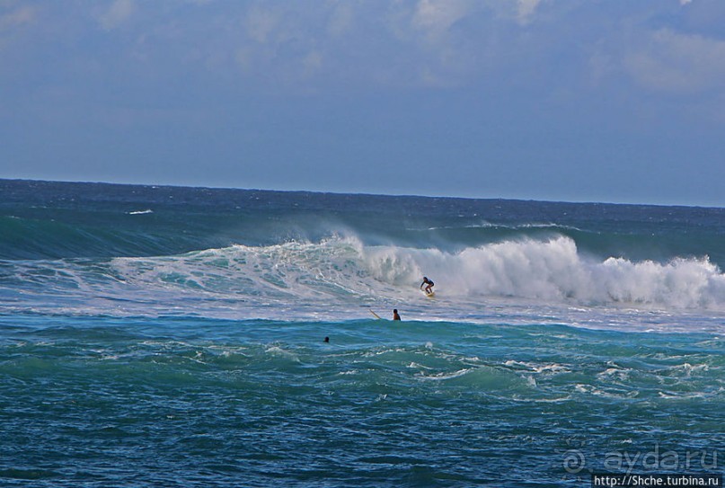 Серфинг, это вам не просто так... этим заниматься нужно