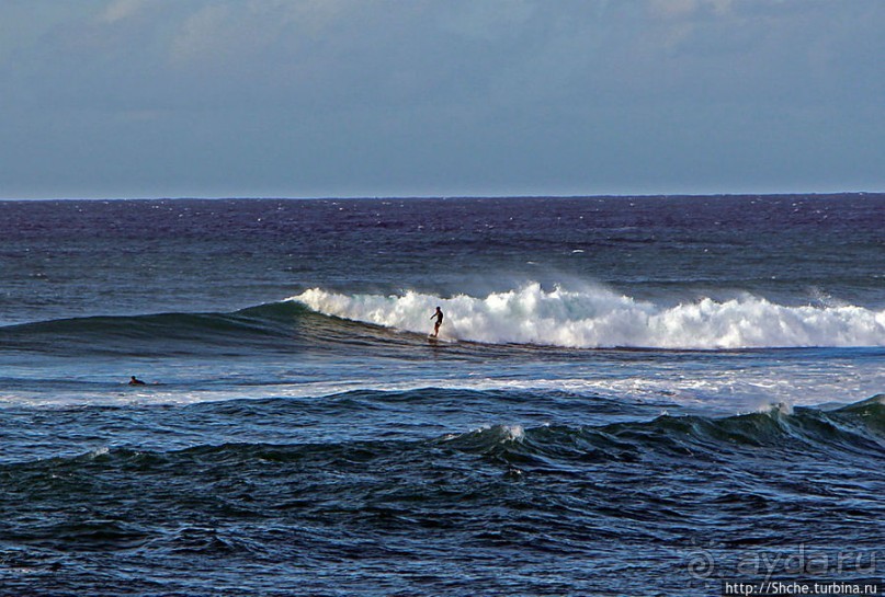 Серфинг, это вам не просто так... этим заниматься нужно