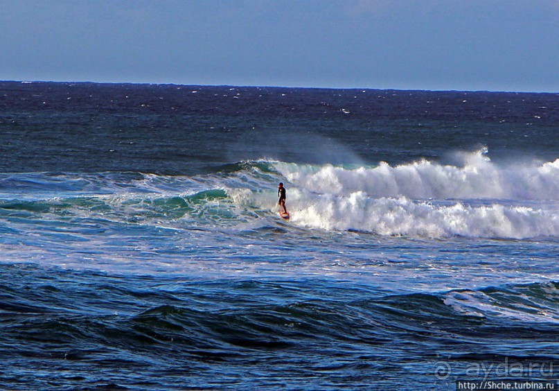 Серфинг, это вам не просто так... этим заниматься нужно