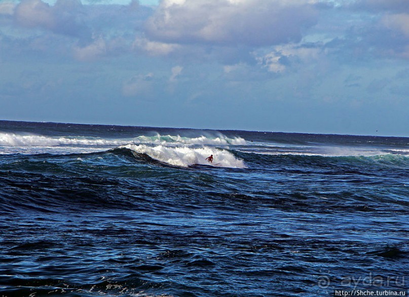 Серфинг, это вам не просто так... этим заниматься нужно