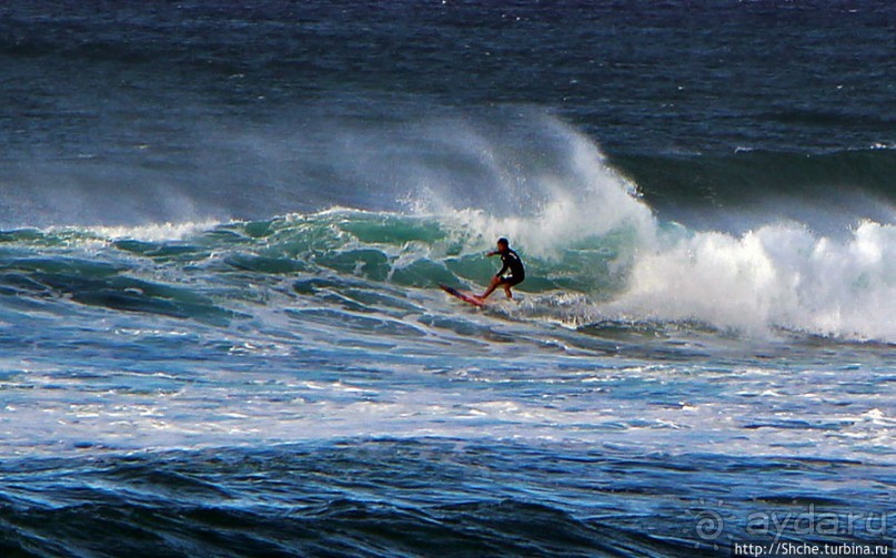 Серфинг, это вам не просто так... этим заниматься нужно