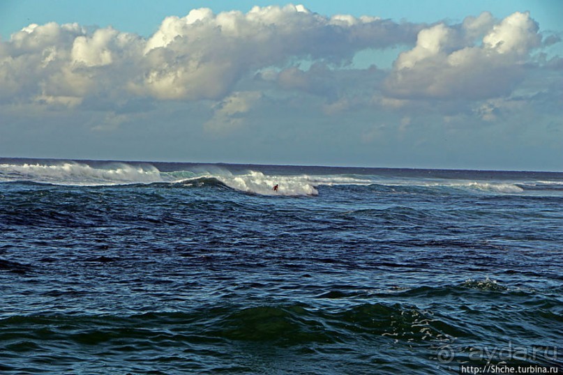 Серфинг, это вам не просто так... этим заниматься нужно