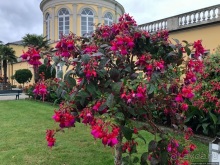 Не говори о Германии, пока не побывал в Госларе