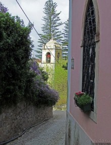 Живописная тропа в реликтовом лесу Синтры