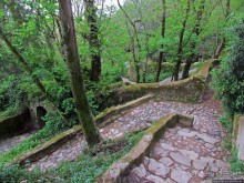 Живописная тропа в реликтовом лесу Синтры