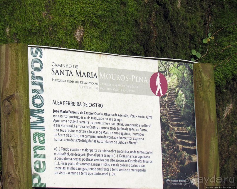 Живописная тропа в реликтовом лесу Синтры