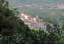 Живописная тропа в реликтовом лесу Синтры