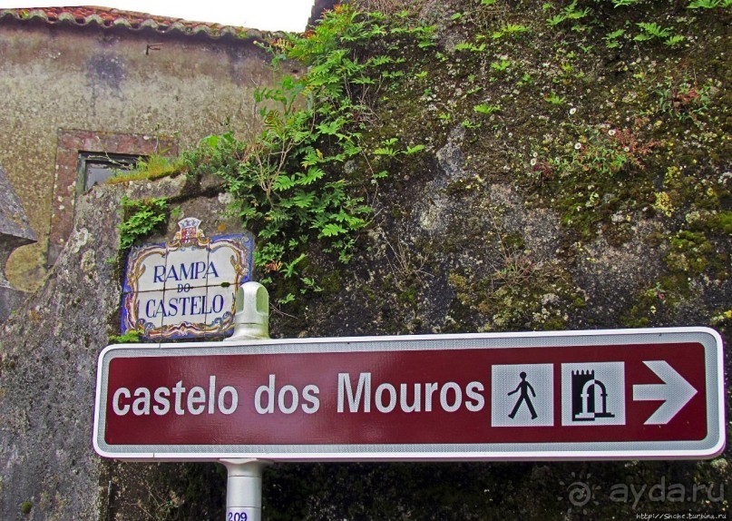 Живописная тропа в реликтовом лесу Синтры