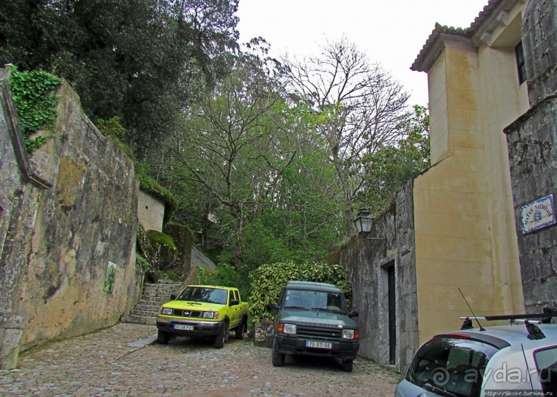 Живописная тропа в реликтовом лесу Синтры