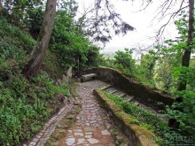 Живописная тропа в реликтовом лесу Синтры